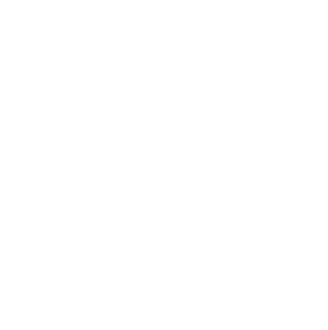 Z+F